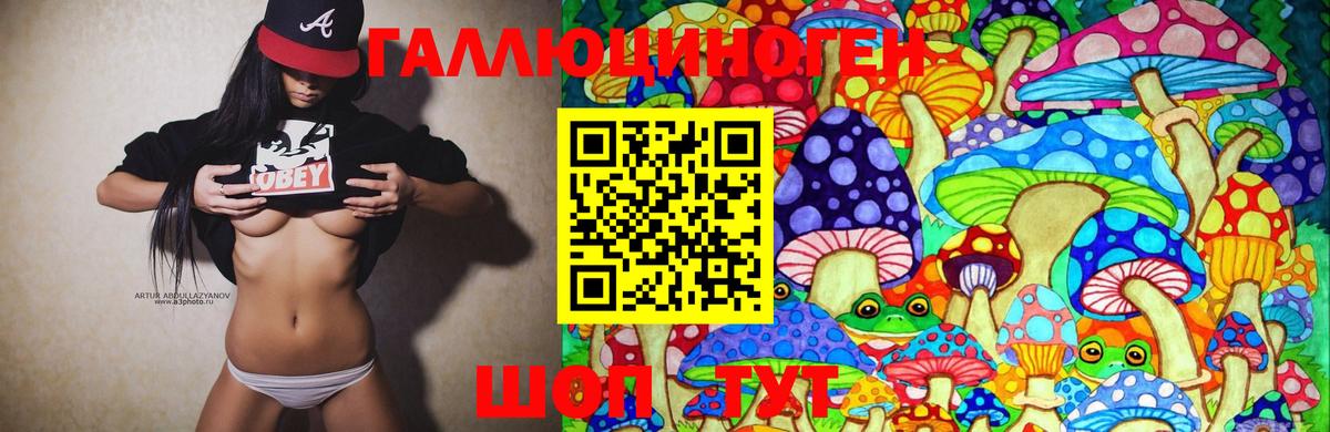 Псилоцибиновые грибы Cubensis  Вход с VPN  Псилоцибиновые грибы GOLDEN TEACHER  Ейск 